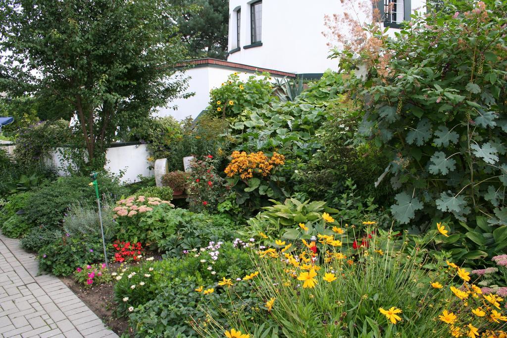 De Witte Molen Kranenburg Bed & Breakfast Kranenburg  Bagian luar foto